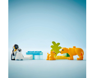 LEGO DUPLO 10442 Rodziny dzikich zwierząt pingwiny i lwy - 1299016 - zdjęcie 11